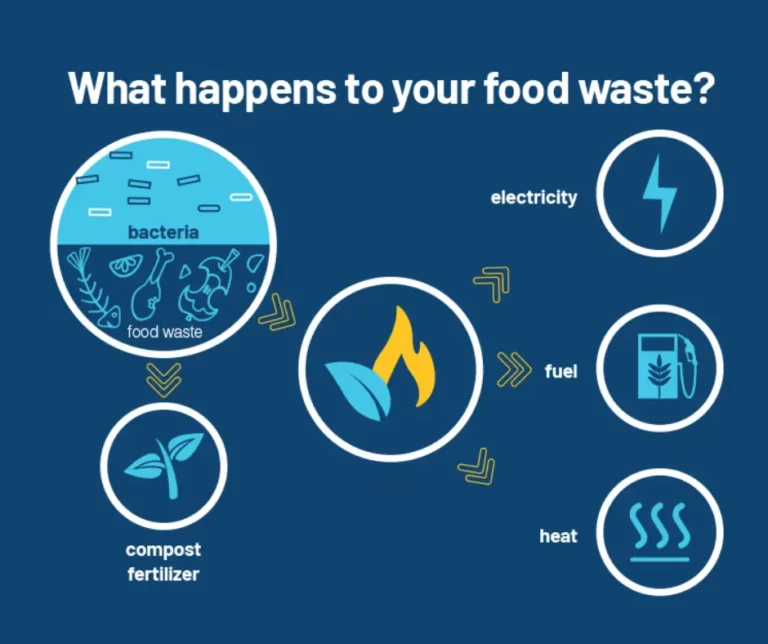 What happens to your foodwaste infographic